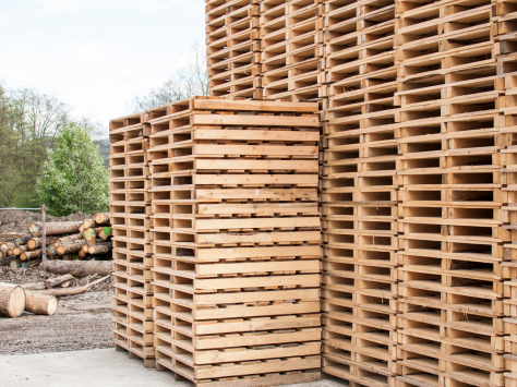 Diseño sin título (2)