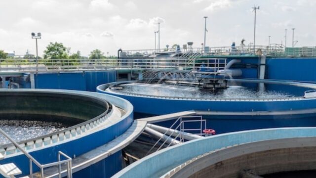 xr:d:DAF0KdojsT4:41,j:306666952610723072,t:24031915